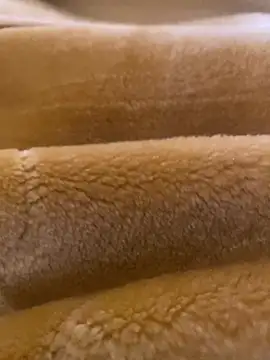 Snapshot of Ashwak_trans chatting on 04/04/26, 12:02 Ashwak trans online show from 04/04/26, 12:02