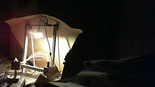 adorbsbiggestfan online show from 04/14/26, 11:27