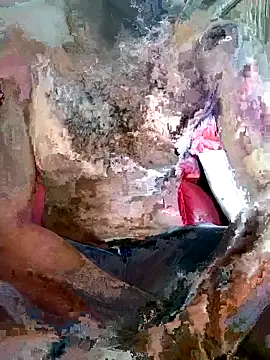 Snapshot of SteedyGee chatting on 03/27/26, 09:32 SteedyGee online show from 03/27/26, 09:32