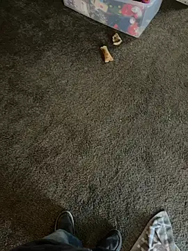 Snapshot of Shawnronald420861 chatting on 03/31/26, 11:05 Shawnronald420861 online show from 03/31/26, 11:05