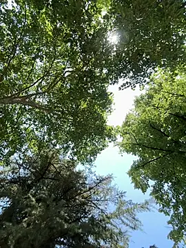 latinacaro- online show from 06/27/26, 10:09