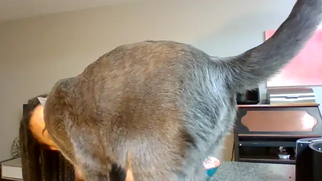 madzbailey online show from 04/02/26, 12:25