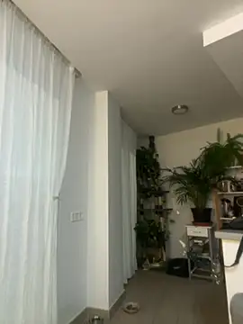 Snapshot of zensorial chatting on 04/23/26, 08:11 zensorial online show from 04/23/26, 08:11