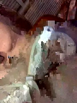 Snapshot of Latinshott chatting on 04/06/26, 04:10 Latinshott online show from 04/06/26, 04:10