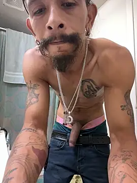 HDGarc online show from 04/22/26, 05:47