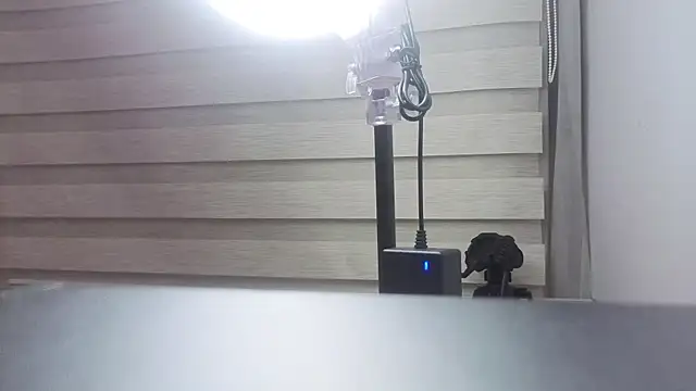 Sweet cat t online show from 06/06/26, 03:22
