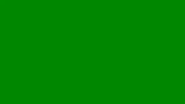 AshleyFerreer online show from 05/14/26, 09:43