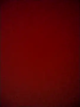 Shaniya03 online show from 05/06/26, 03:17