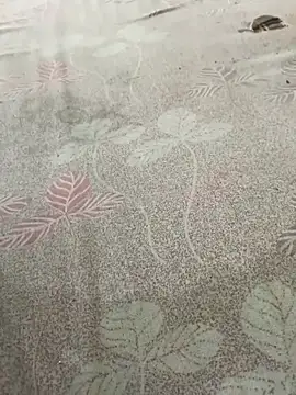 Snapshot of pujaji098 chatting on 04/13/26, 04:07 pujaji098 online show from 04/13/26, 04:07