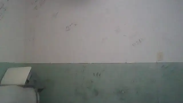 Toytroy197413 online show from 04/17/26, 03:53