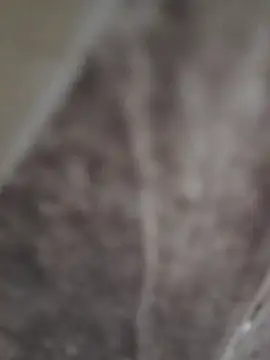 sk022 online show from 04/15/26, 06:26