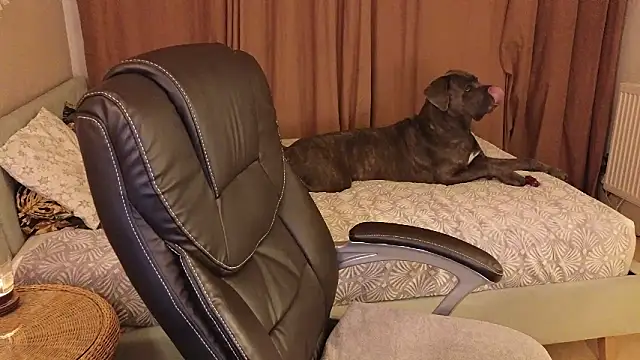 Sharon Red online show from 12/02/24, 06:21