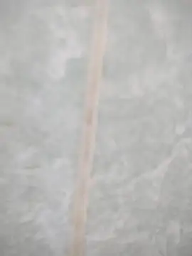 maicol6699 online show from 04/19/26, 03:06