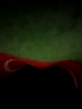 Snapshot of teluguabbai4567 chatting on 04/21/26, 11:51 teluguabbai4567 online show from 04/21/26, 11:51