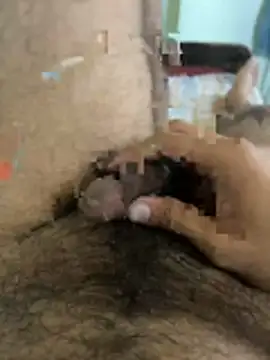 Snapshot of warm_milk69 chatting on 04/19/26, 04:01 warm milk69 online show from 04/19/26, 04:01