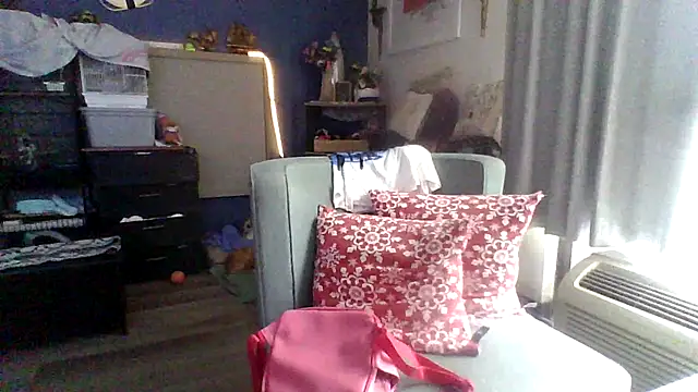Snapshot of Dicksee_Left chatting on 04/29/26, 03:49 Dicksee Left online show from 04/29/26, 03:49