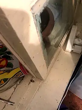 katilikat online show from 04/17/26, 11:41