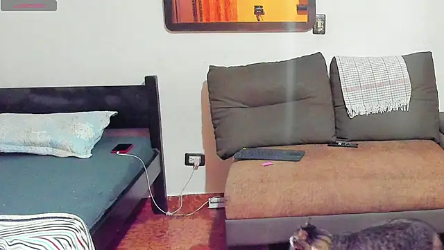 Teo Rave online show from 06/27/26, 04:06