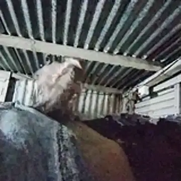 Snapshot of PUNEPLAYBOY2 chatting on 04/20/26, 03:04 PUNEPLAYBOY2 online show from 04/20/26, 03:04