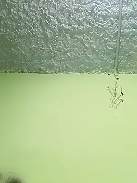 Snapshot of Micaejj chatting on 04/21/26, 08:34 Micaejj online show from 04/21/26, 08:34