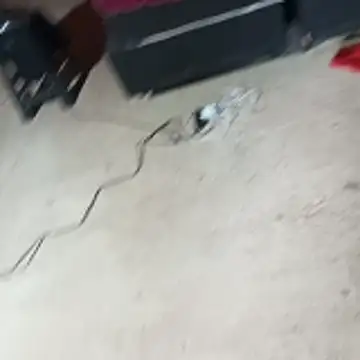 Snapshot of _-_-_putinha_-_ chatting on 04/24/26, 11:23 - - putinha - online show from 04/24/26, 11:23