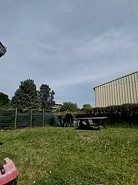 Snapshot of Osuleom29 chatting on 04/25/26, 01:25 Osuleom29 online show from 04/25/26, 01:25