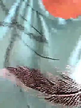 KICIA10 online show from 06/12/26, 08:46