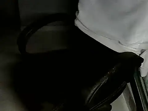 bielzinsantostx online show from 05/03/26, 12:38