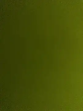 dzshbh2005 online show from 05/08/26, 05:57