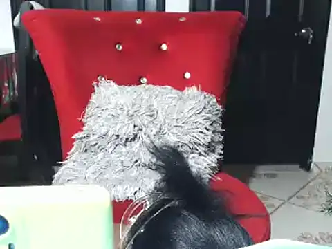 jannyheat online show from 01/17/25, 04:57