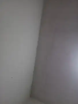 Snapshot of wbrankinha chatting on 06/03/26, 02:33 wbrankinha online show from 06/03/26, 02:33