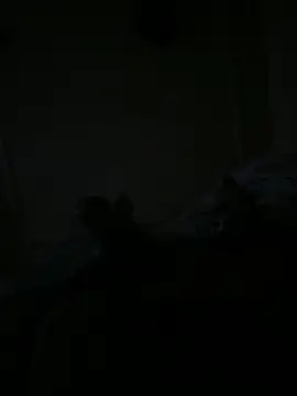 Snapshot of Timmy_T chatting on 05/15/26, 01:12 Timmy T online show from 05/15/26, 01:12