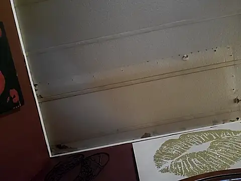 NutNmyGUTdaddy online show from 05/15/26, 12:56