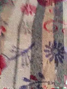 SVK 55 online show from 06/23/26, 11:30