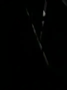 F0X89 online show from 08/05/26, 11:06