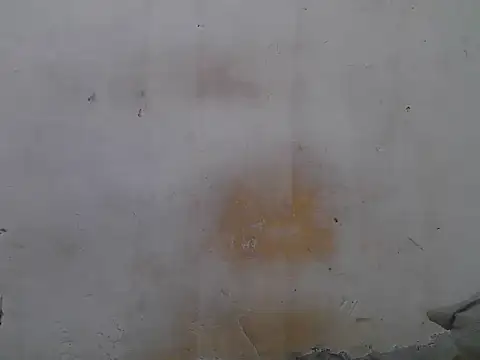 sweet camillah00 online show from 06/04/26, 03:18