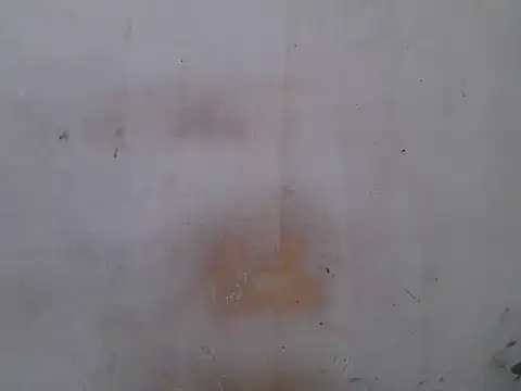 sweet camillah00 online show from 06/08/26, 06:36