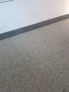 Snapshot of Suhana_sharma89 chatting on 06/02/26, 09:11 Suhana sharma89 online show from 06/02/26, 09:11