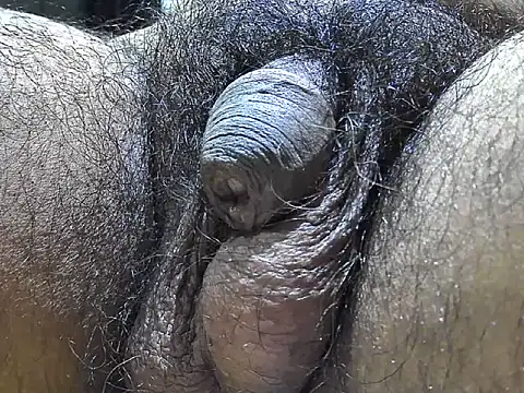 indiboy009 online show from 09/09/25, 07:35