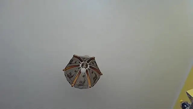 Butterfly PL online show from 07/09/26, 08:07