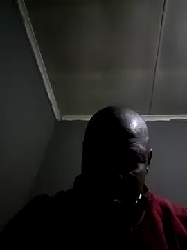 Rod Gorilla online show from 07/18/26, 06:23