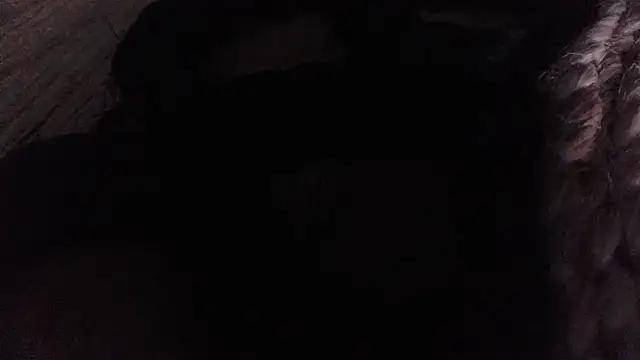 Snapshot of Monia9530 chatting on 07/25/26, 08:50 Monia9530 online show from 07/25/26, 08:50