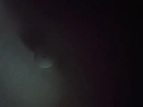 CurveBallbae67 online show from 07/06/26, 04:42