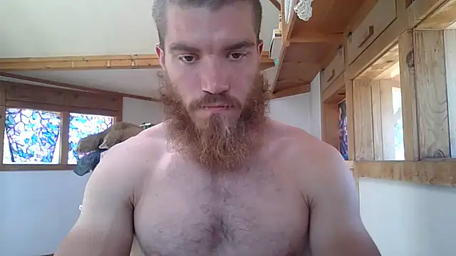 Snapshot of Tonybz0 chatting on 07/28/26, 04:39 Tonybz0 online show from 07/28/26, 04:39