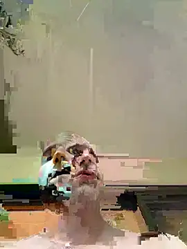 Snapshot of Showrunnerwright1on1 chatting on 07/04/26, 10:49 Showrunnerwright1on1 online show from 07/04/26, 10:49