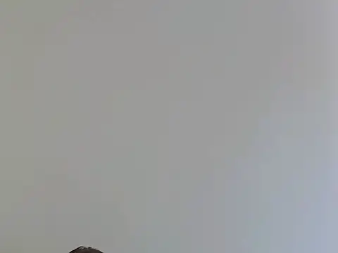 LisaMoony online show from 07/09/26, 07:56