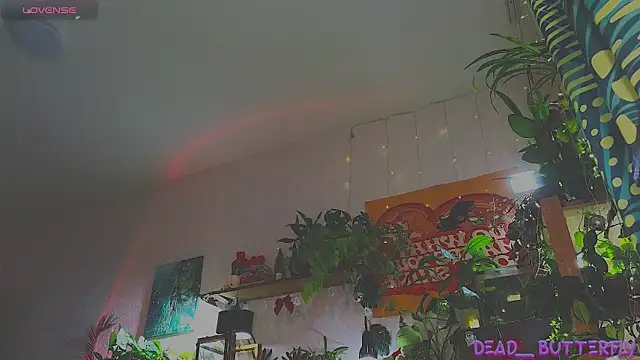 Dead Butterfly online show from 12/18/24, 11:02