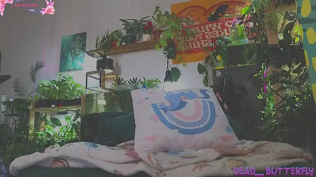 Dead Butterfly online show from 03/05/25, 04:24