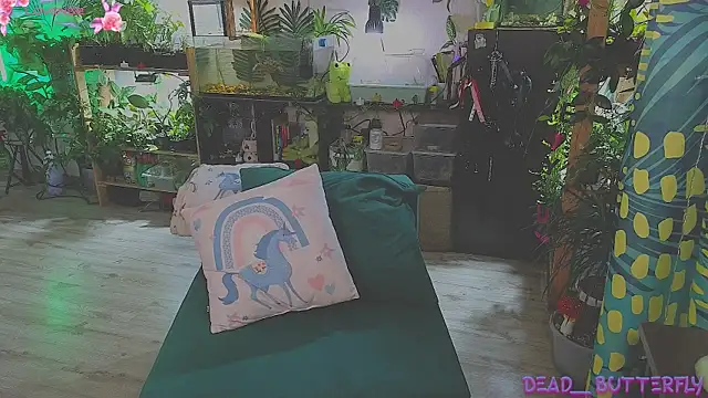 Dead Butterfly online show from 03/13/25, 03:33