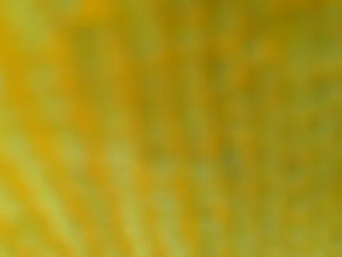 Snapshot of OGXXXOG chatting on 03/16/25, 07:17 OGXXXOG online show from 03/16/25, 07:17